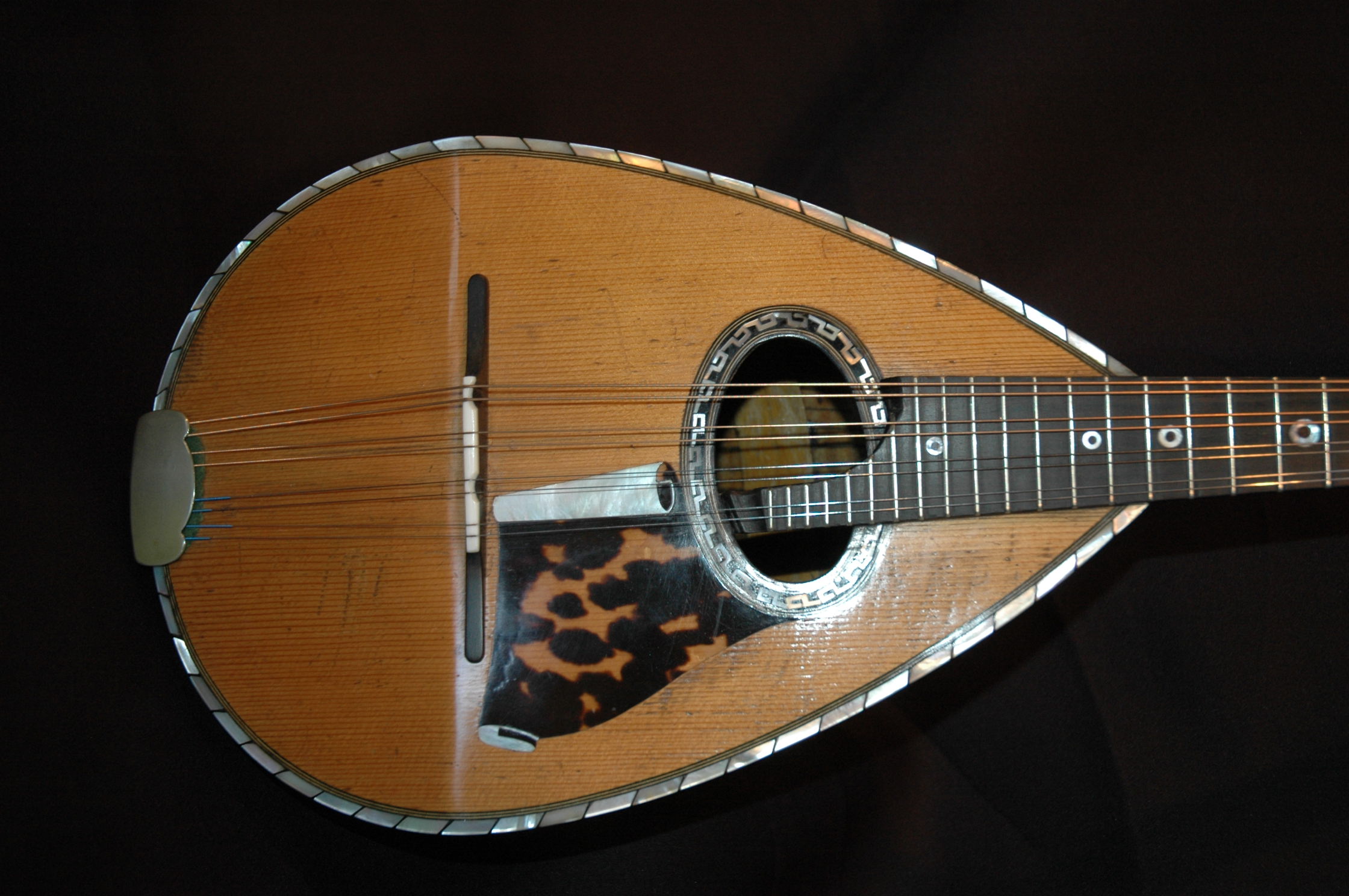 Egildo Mandolin